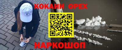 мдпв Камышлов