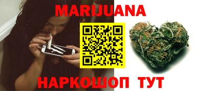 мдпв Камышлов