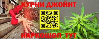 мдпв Камышлов