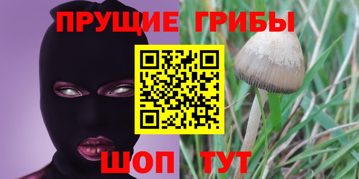 Галлюциногенные грибы GOLDEN TEACHER Чапаевск